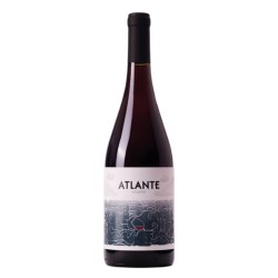 ATLANTE Vidueño 75 cl.